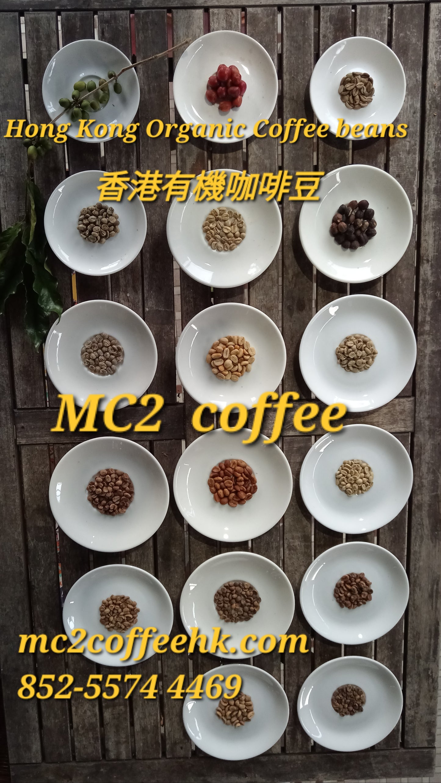 Hong Kong Organic Roasted Coffee Beans 香港種植有機咖啡豆(已烘焙)