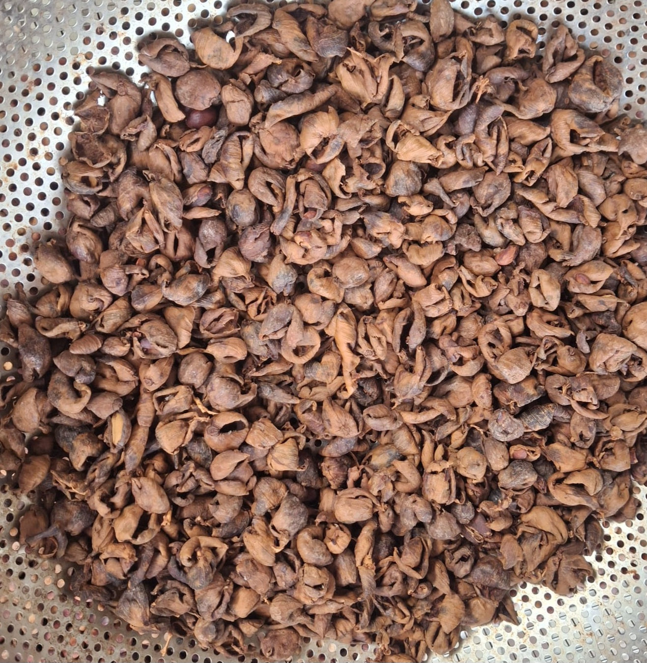 Hong Kong Organic Dried Coffee Husks 香港有機乾咖啡果皮