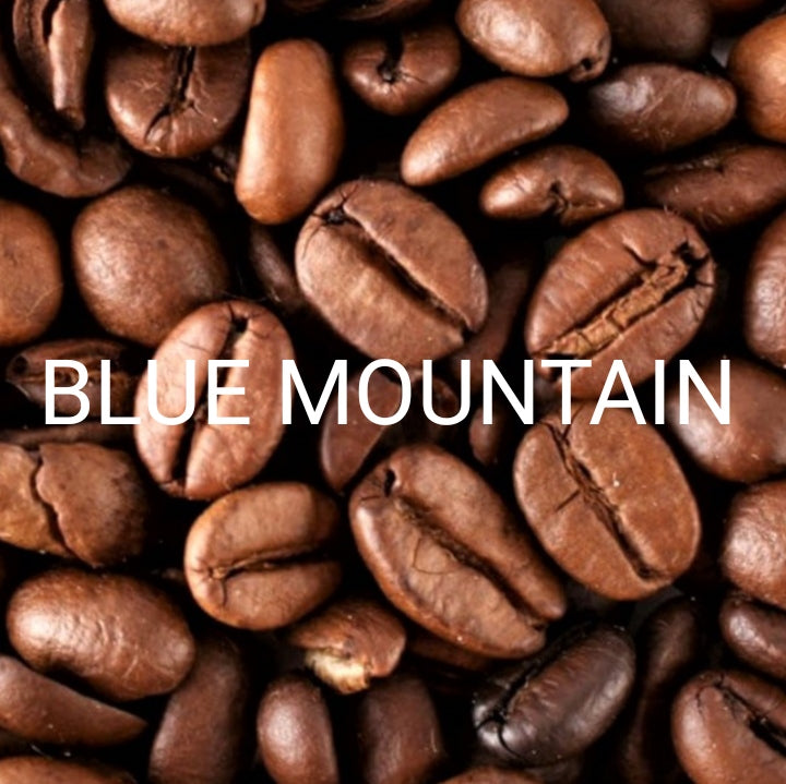 Blue mountain Roasted Coffee Beans (Premium) 頂級藍山咖啡豆 200g