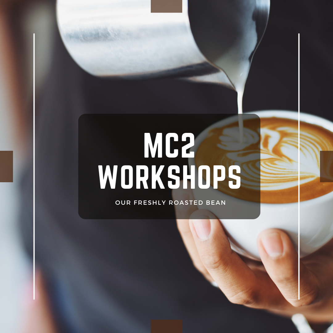Workshops