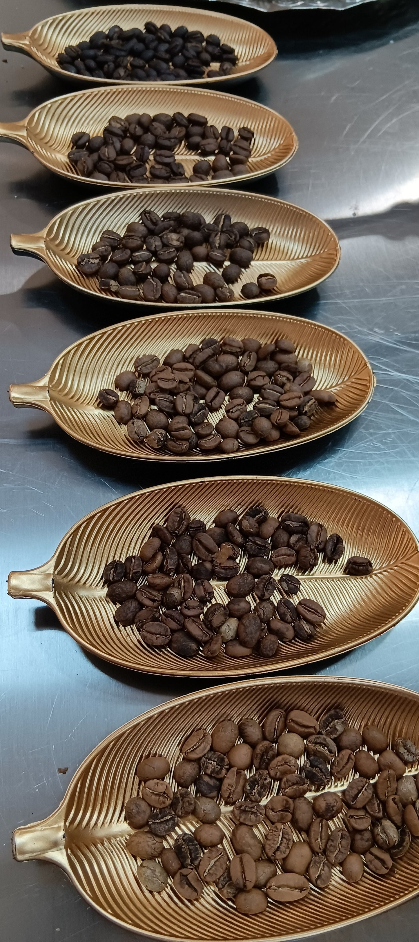 Hong Kong  unique dry processed organic roasted coffee beans 香港特創風味有機咖啡豆 ( 已烘焙）250 g